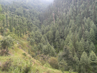 Nathia Gali Wallpapers