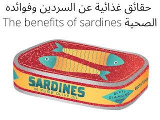 حقائق غذائية عن السردين وفوائده الصحية The benefits of sardines