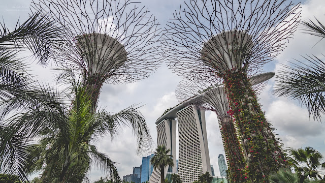 Singapore - new continent, new culture