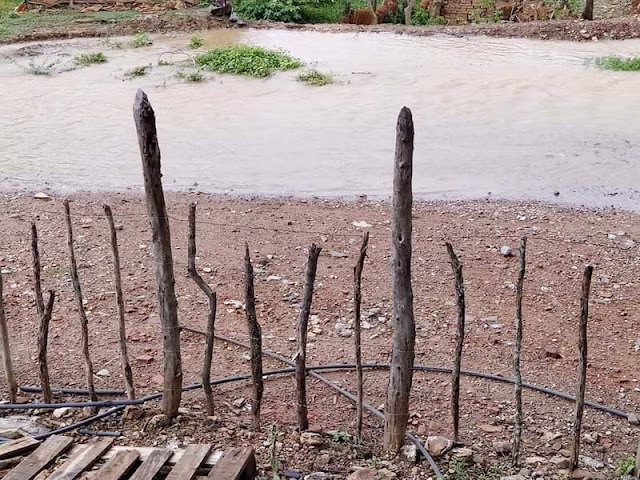 ¡UNA VEZ MÁS! MORUCHE Y ALEMÁN BAJO EL AGUA