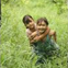 View album