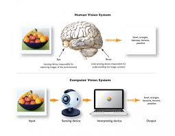 Vision Input System