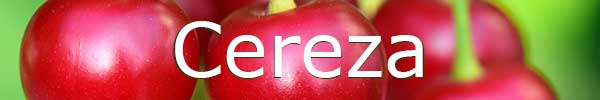 naturopatia para calculo de los riñones con cereza