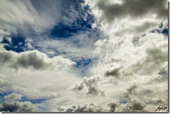IMG_2576
