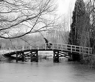 brug met fietser