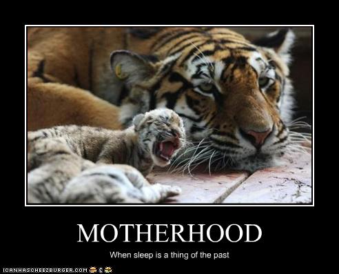 quotes about moms. Cute Quotes For Moms. cute