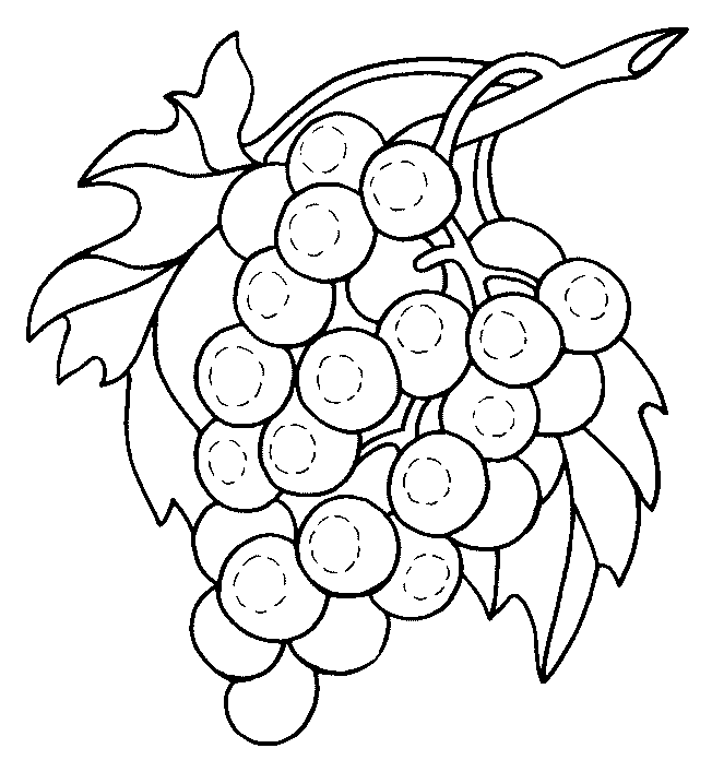 Download Coloring Pages for Kids: Grapes Coloring Pages for Kids