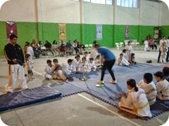Taekwondo Olímpico