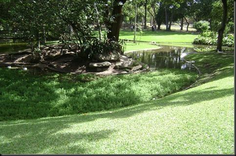 Lago Carlos Guinand (Toma 2)