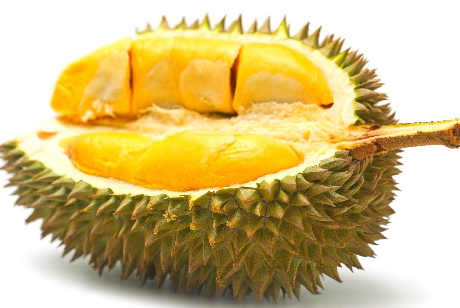 10 Manfaat Makan Durian  Bagi Kesehatan Ozielaufa
