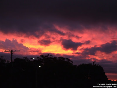 Purple and Red Clouds Sunset over dark trees - Red at night, Shepherds delight