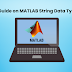 A Guide on MATLAB String Data Types