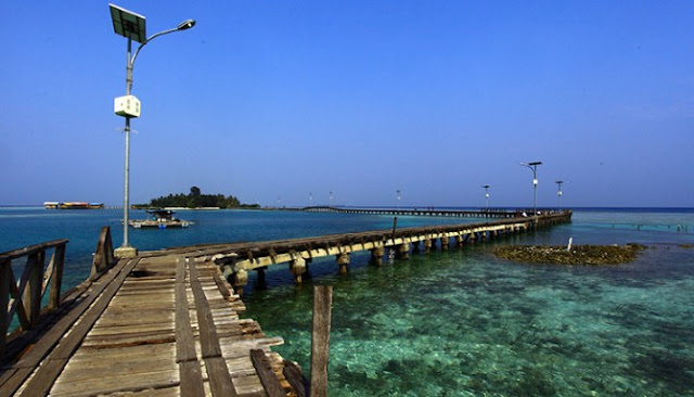 Delapan Surga Bawah Laut Indonesia Yang Banyak Diburu Wisatawan Mancanegara