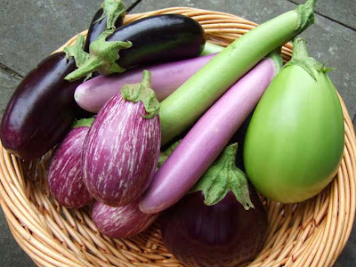 Eggplant helps reduce abdominal fat tips and recipes Burn calories lose weight Negative calorie foods