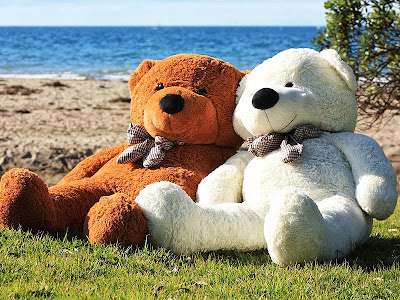 Lovely Teddy Couples Pictures Free Download