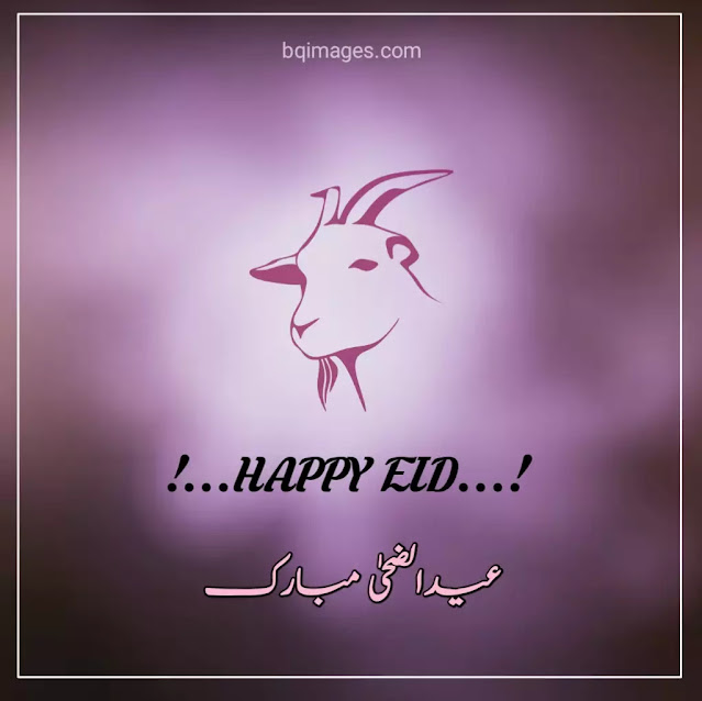 eid ul azha images