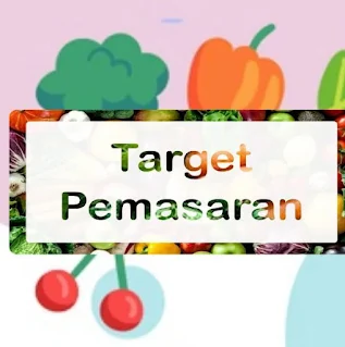 Target Pemasaran