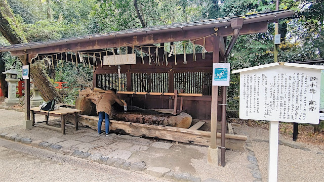 下鴨神社 紅葉 京都