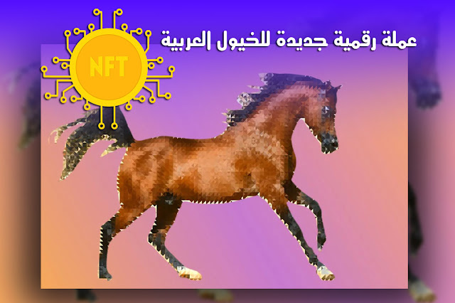 مشروع NFT جديد للخيول العربية الأصيلة قريبًا وسيكون هناك عملة رقمية جديدة للخيول العربية