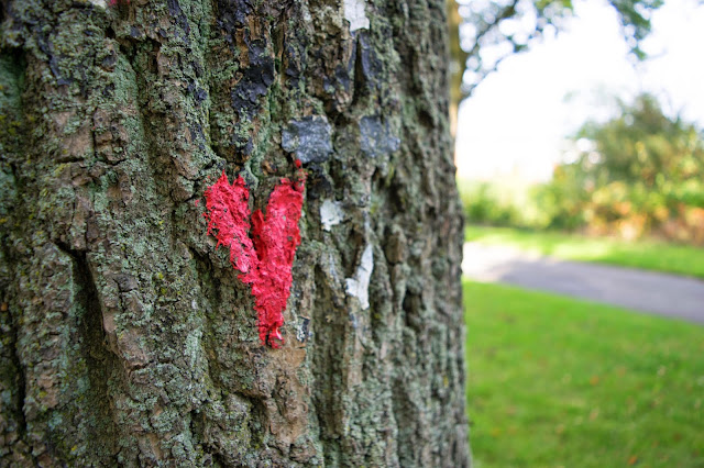 légendes et croyances amoureuses, santé, agriculture de la Saint-Valentin