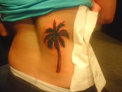 back tattoo tree. Palm Tree tattoo on ack
