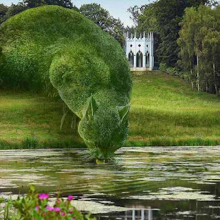 Foto em dia de céu claro. Em um canto de um enorme jardim próximo a um rio, à esquerda, sobre a relva, um correr de árvores podadas em forma de um gigantesco gato, curvado, com a cabeça baixa, sorvendo a água. Ao fundo, à direita, um coreto branco, circular em formato de castelo, ao redor, um bosque. No canto inferior esquerdo, plantas aquáticas com flores miúdas na cor pink e ao lado, parte do reflexo do coreto sobre a superfície do rio.