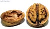 Walnuts decrease heart problems and lower cholesterol