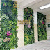 Harga Jasa Vertical Garden Sidoarjo - Harga Jasa Vertical Garden Artificial Sintetis Sidoarjo