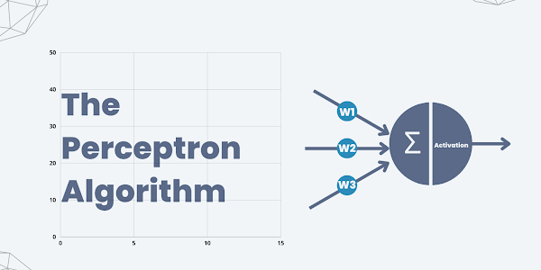 The Perceptron Algorithm: From Scratch Using Python