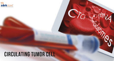 Circulating Tumor Cell Market