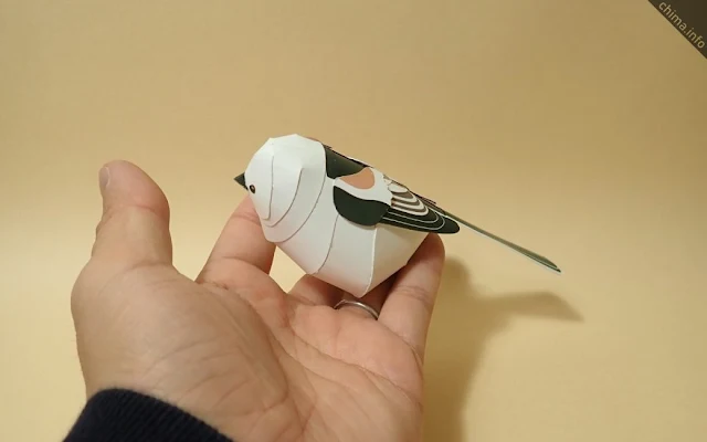 Long-Tailed Tit Papercraft Model by Chima
