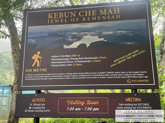 Kebun Che Mah, Bukit Ketum, Bukit Pau, Dusun Tok Lee Hike View