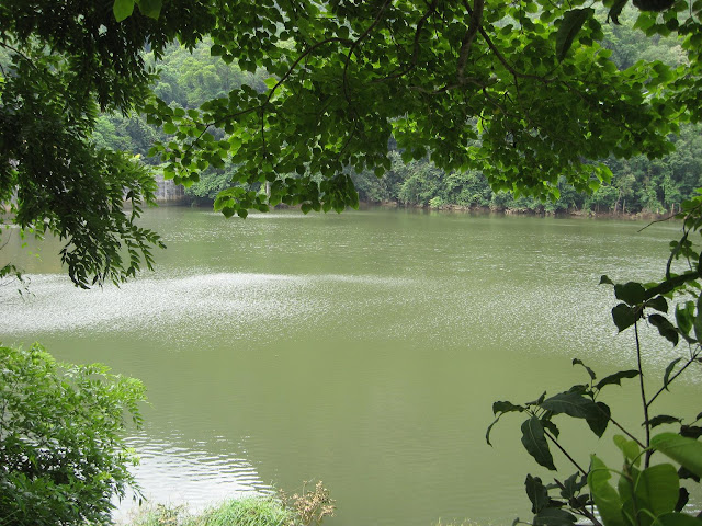 Snaps From Idukki 1