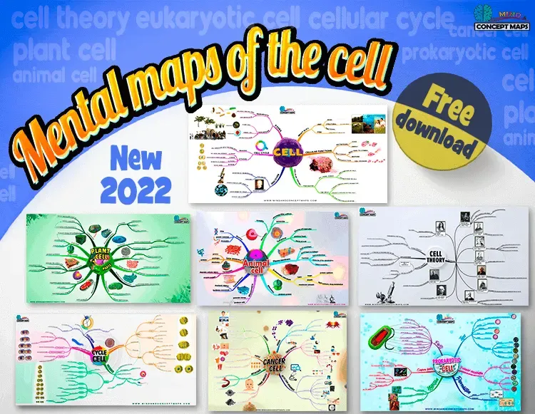 Creative mind maps about the cell, its parts, functions, types and much more.