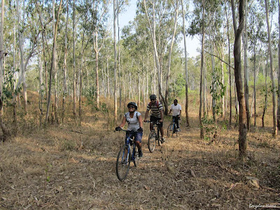 Off road cycling in Turahalli Forest