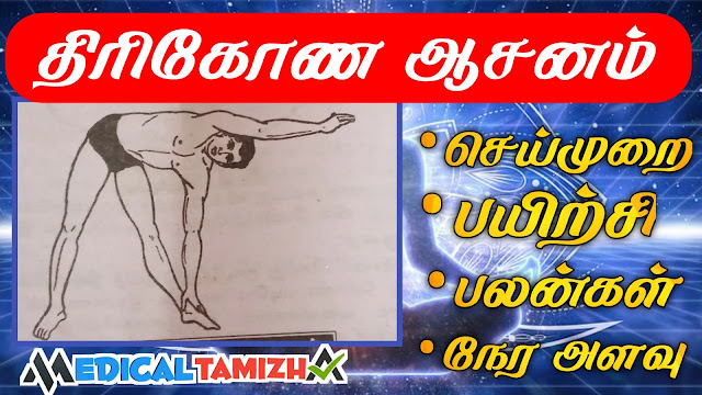 திரிகோண ஆசனம் | யோகாசன வகைகள்