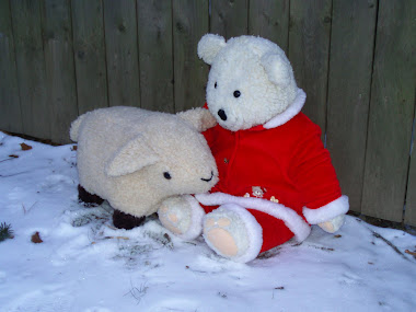 First Snow