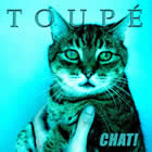 Toupé: Chat!