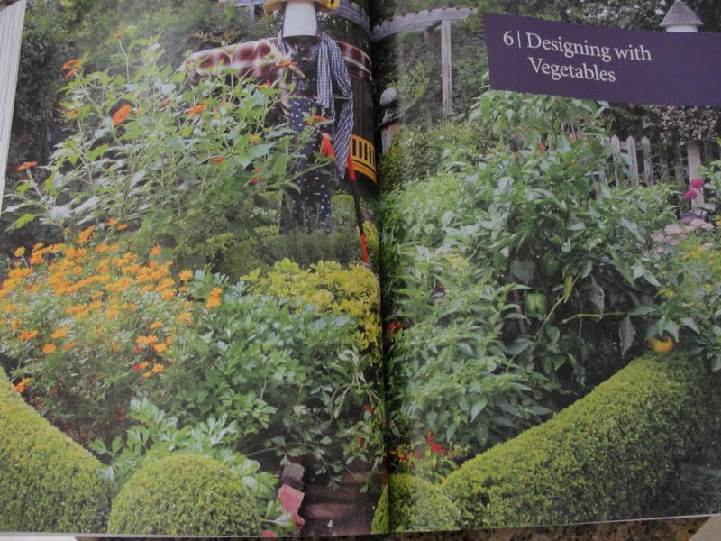 Florida Edible Landscaping