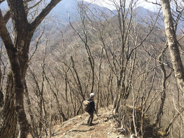 笹子雁ヶ腹摺山の山頂から登山道を下る女