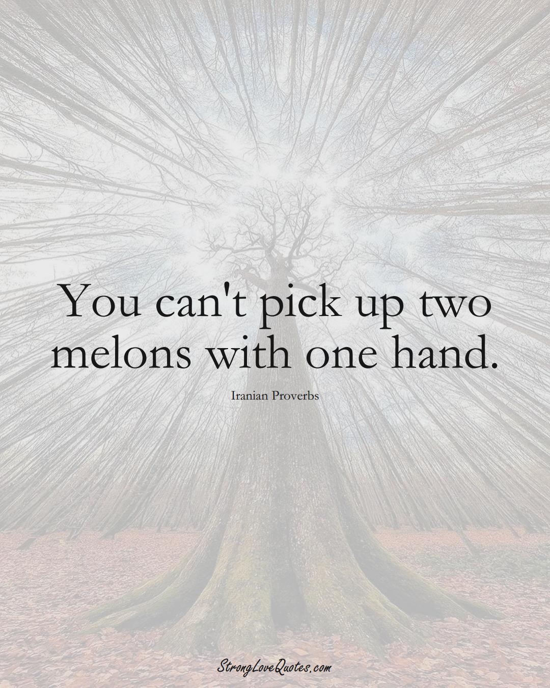 You can't pick up two melons with one hand. (Iranian Sayings);  #MiddleEasternSayings