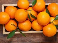 10 Khasiat Dan Manfaat Buah Jeruk Bagi Kesehatan Tubuh Manusia 