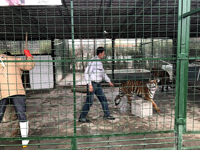 イラン・マシュハドにあるマシュハド動物園（Vakil Abad Zoo）