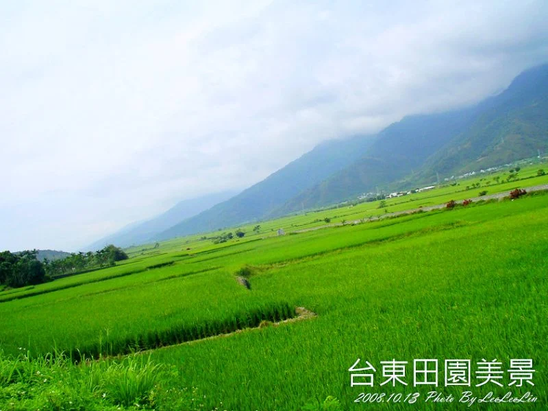 單車環島｜鏷石民宿｜玉里民宿｜玉里大橋｜玉長公路｜全美行池上便當｜脫線牧場