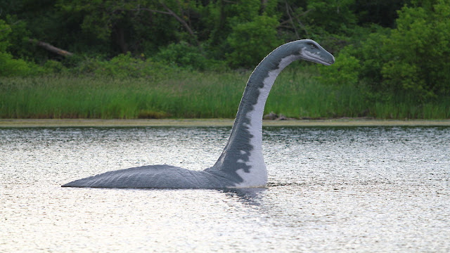 Quái vật hồ Loch Ness có phải là khủng long cổ dài?
