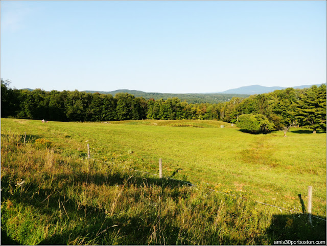 Trapp Family Lodge: Vistas del The Austrian Tea & Tap Room