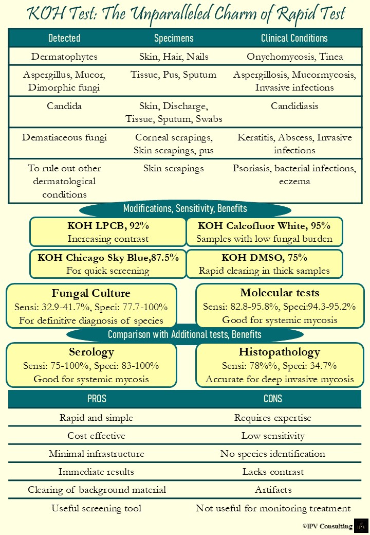 KOH Test