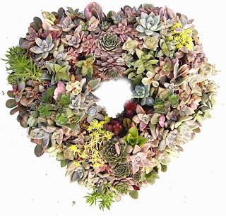 succulent heart