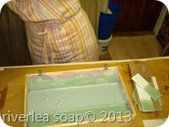 DSCN0021
