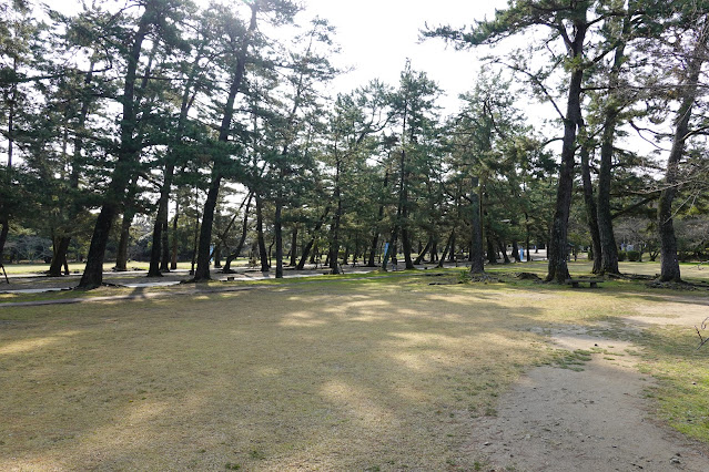 島根県出雲市大社町杵築東 出雲大社